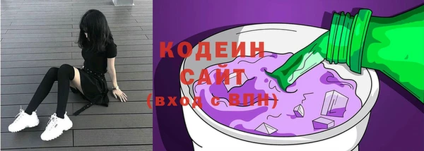 индика Абаза