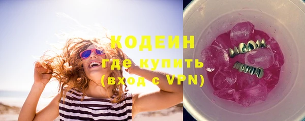 индика Абаза