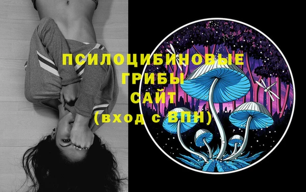 стафф Абинск