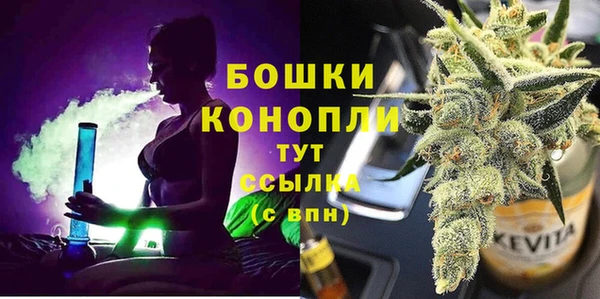 индика Абаза