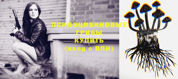 хмурый Новодвинск