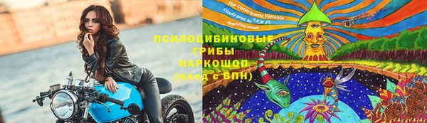 спиды Нефтекумск